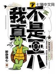 我真不是王八 我真不是王八
