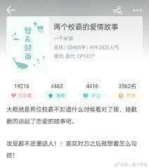 兩個校霸的愛情故事