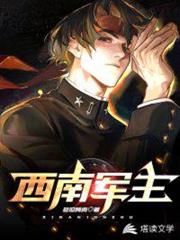 西南軍主 西南軍主