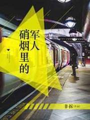 硝煙里的軍人 硝煙里的軍人