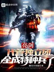 亮劍:代管獨立團,全成特種兵了 亮劍:代管獨立團,全成特種兵了