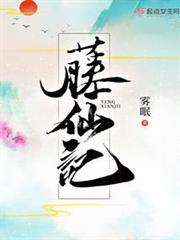 藤仙記 藤仙記