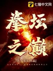 拳壇之巔 拳壇之巔
