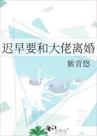 遲早要和大佬離婚 遲早要和大佬離婚