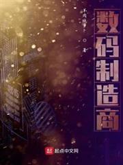 數碼製造商 數碼製造商