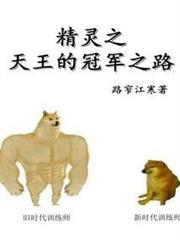 精靈之天王的冠軍之路 精靈之天王的冠軍之路