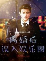 離婚後誤入娛樂圈 離婚後誤入娛樂圈