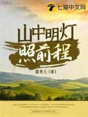 山中明燈照前程 山中明燈照前程
