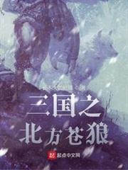 三國之北方蒼狼 三國之北方蒼狼
