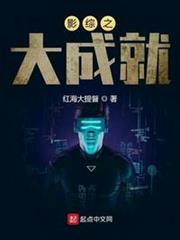 影綜之大成就 影綜之大成就