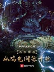 百家神通:從雞兔同籠開始 百家神通:從雞兔同籠開始