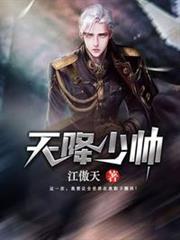 天降少帥 天降少帥