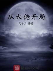 從大佬開局 從大佬開局
