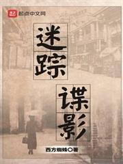 迷蹤諜影 迷蹤諜影
