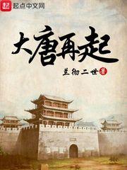 大唐再起 大唐再起