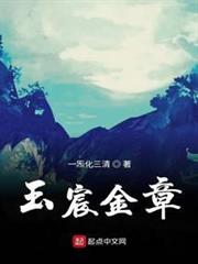 玉宸金章 玉宸金章