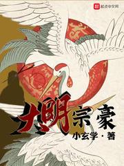 大明宗豪 大明宗豪