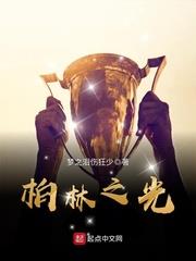 柏林之光 柏林之光