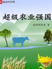 超級農業強國 超級農業強國