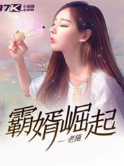 霸婿崛起 霸婿崛起