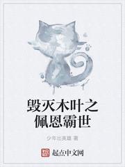 毀滅木葉之佩恩霸世 毀滅木葉之佩恩霸世