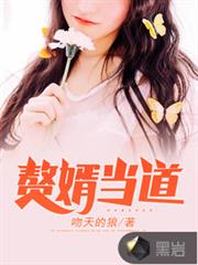 贅婿當道 贅婿當道