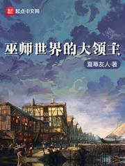 巫師世界的大領主 巫師世界的大領主