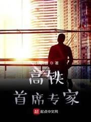 高鐵首席專家 高鐵首席專家