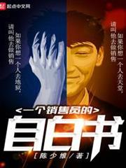 一個銷售員的自白書 一個銷售員的自白書