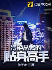 冷艷總裁的貼身高手 冷艷總裁的貼身高手