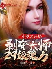 斗羅之開局剝奪大師29級魂力 斗羅之開局剝奪大師29級魂力