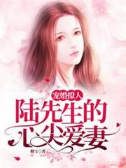 寵婚撩人,陸先生的心尖愛妻喬莫笙陸慕沉 寵婚撩人,陸先生的心尖愛妻喬莫笙陸慕沉