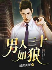 男人三十如狼 男人三十如狼
