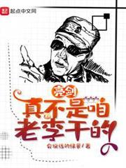 亮劍:真不是咱老李乾的 亮劍:真不是咱老李乾的