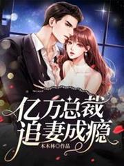 億萬總裁追妻成癮 億萬總裁追妻成癮