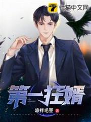 第一狂婿 第一狂婿