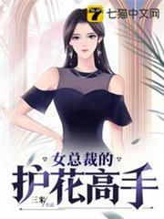 女總裁的護花高手 女總裁的護花高手