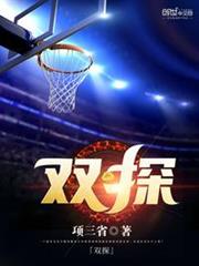 雙探 雙探