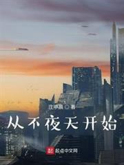 從不夜天開始 從不夜天開始