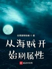 從海賊開始刷屬性 從海賊開始刷屬性