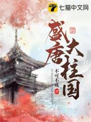 盛唐大柱國 盛唐大柱國