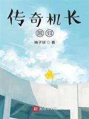 傳奇機長:回歸 傳奇機長:回歸