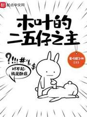 木葉的二五仔之主 木葉的二五仔之主