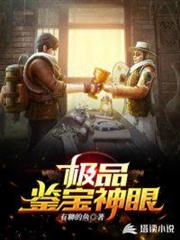 極品鑑寶神眼 極品鑑寶神眼