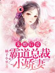 霸道總裁小嬌妻 霸道總裁小嬌妻