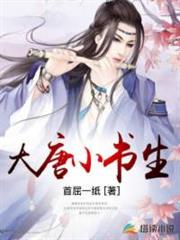 大唐小書生 大唐小書生