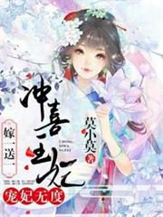 沖喜王妃嫁一送一 沖喜王妃嫁一送一
