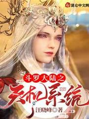 斗羅大陸之天機系統 斗羅大陸之天機系統