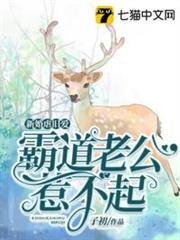 霸道老公惹不起 霸道老公惹不起