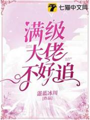 滿級大佬不好追 滿級大佬不好追